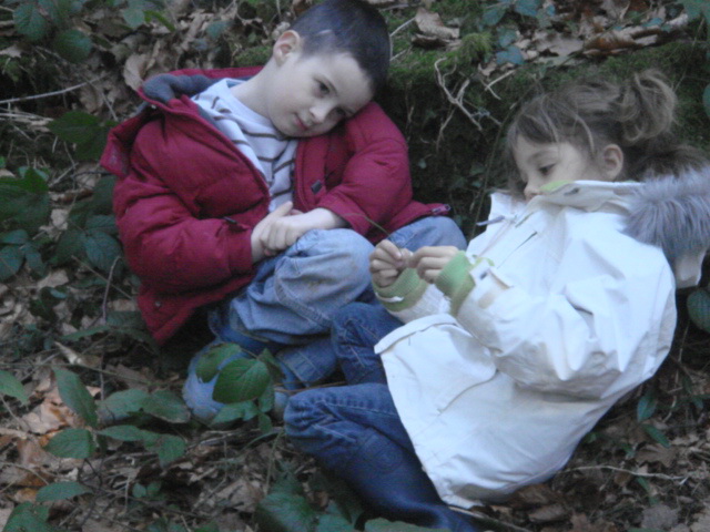 Danse Nature Atelier